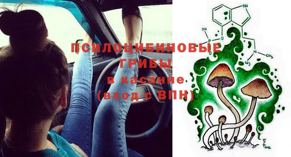 ГАЛЛЮЦИНОГЕННЫЕ ГРИБЫ Богородицк